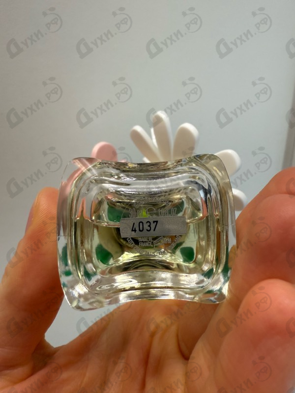 Духи Daisy Wild от Marc Jacobs