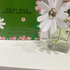 Купить Daisy Wild от Marc Jacobs