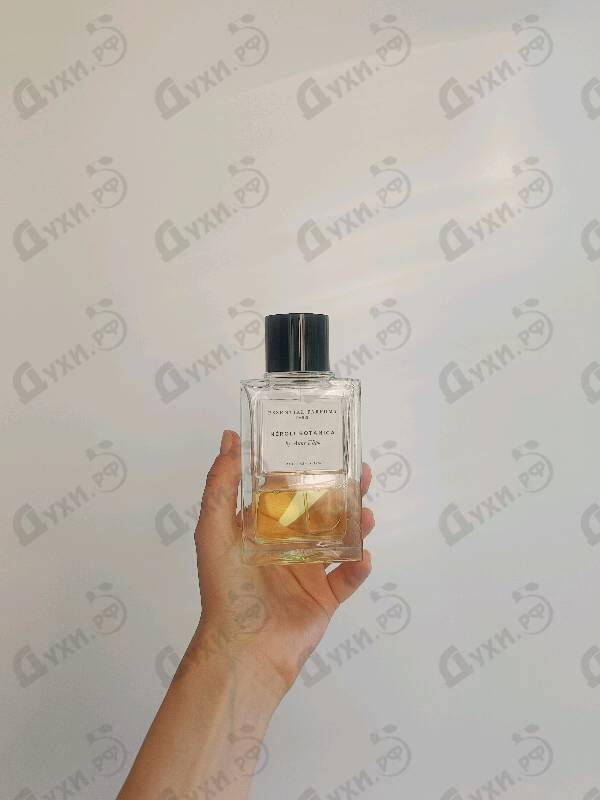 Отзывы Essential Parfums Neroli Botanica