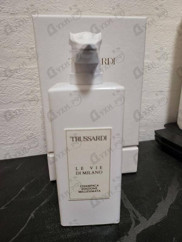 Купить Champaca Edizione Millesimata от Trussardi