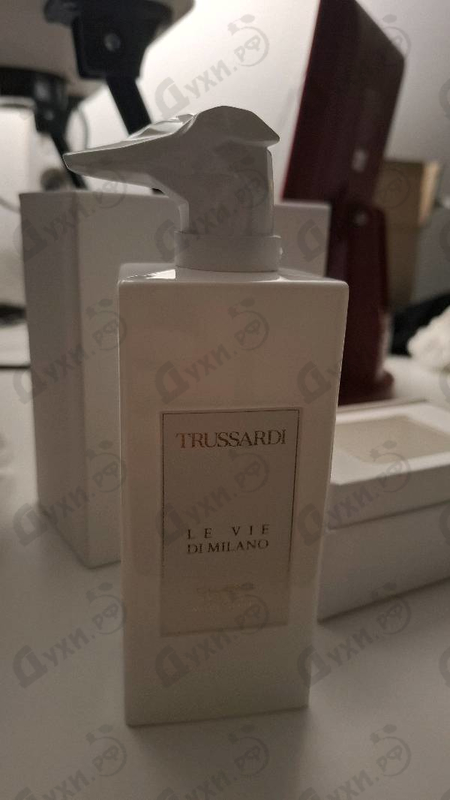 Купить Champaca Edizione Millesimata от Trussardi