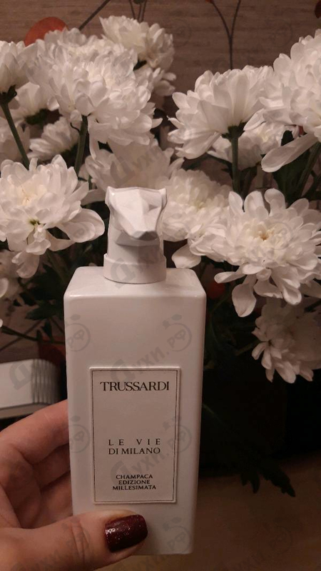 Купить Champaca Edizione Millesimata от Trussardi