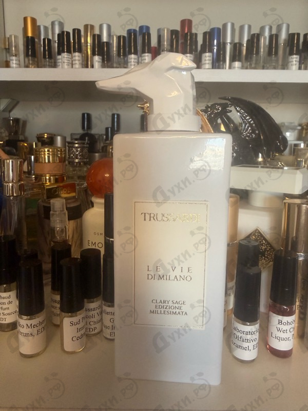 Купить Clary Sage Edizione Millesimata от Trussardi