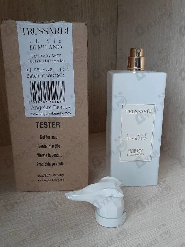 Купить Clary Sage Edizione Millesimata от Trussardi