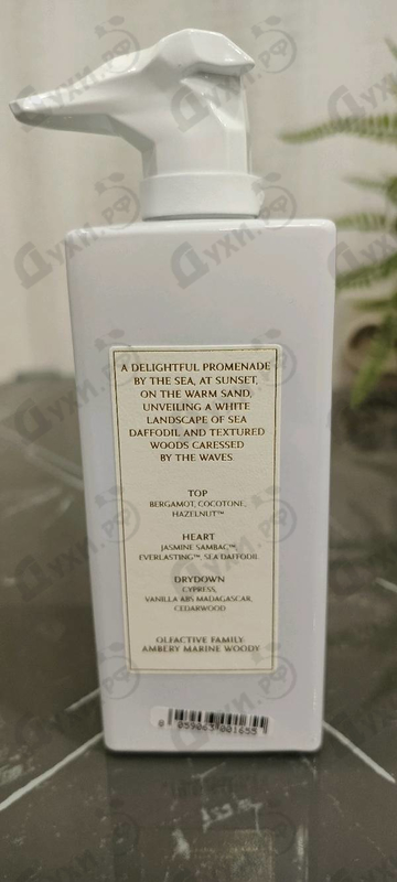 Духи Sea Daffodil Edizione Millesimata от Trussardi