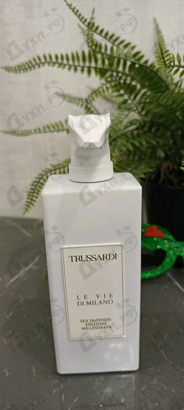 Купить Sea Daffodil Edizione Millesimata от Trussardi