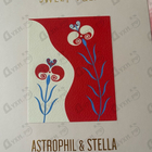 Отзыв Astrophil & Stella Sweet Pulp