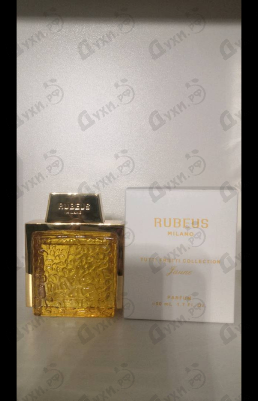 Купить Jaune от Rubeus Milano
