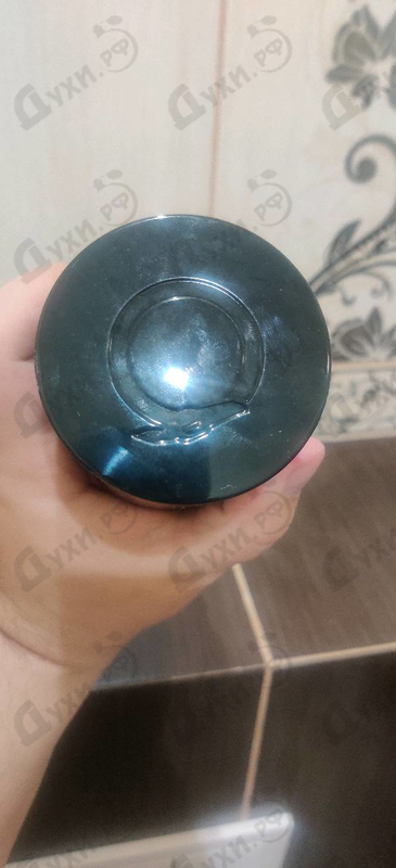 Купить Primo от Trussardi