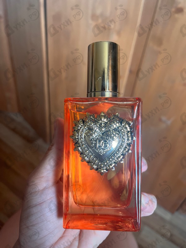 Купить Devotion Intense от Dolce & Gabbana