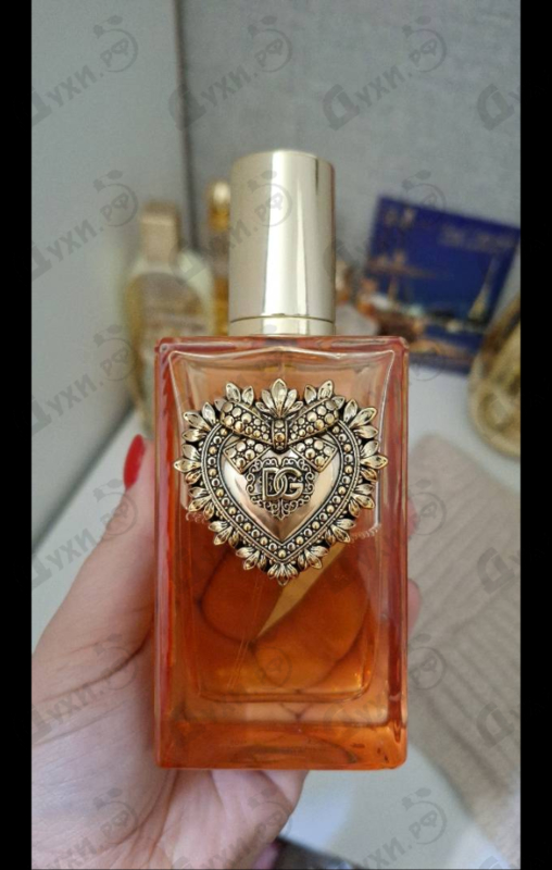 Купить Dolce & Gabbana Devotion Intense