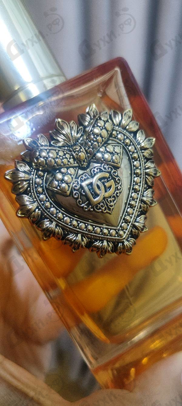 Парфюмерия Devotion Intense от Dolce & Gabbana