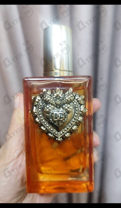 Купить Devotion Intense от Dolce & Gabbana