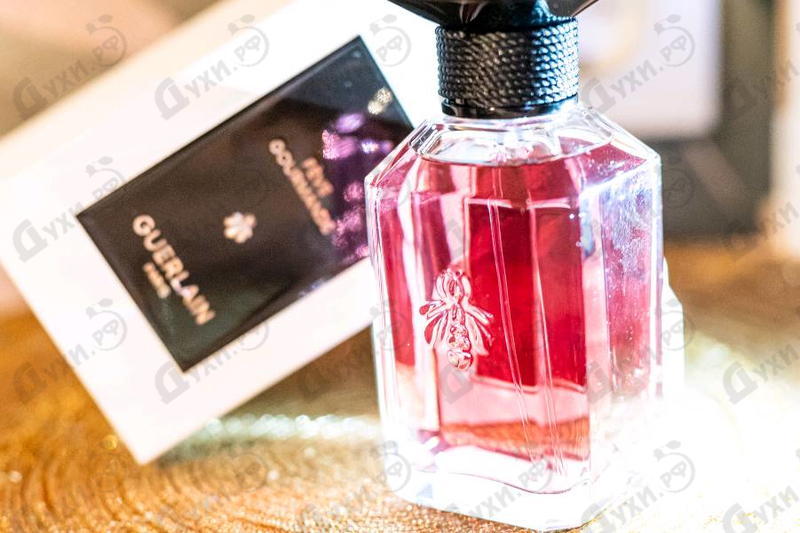 Купить Guerlain Feve Gourmande