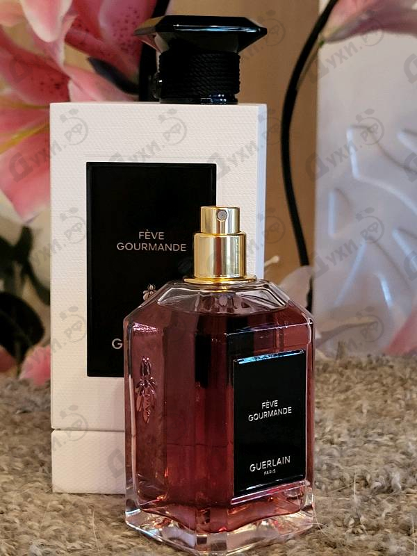 Купить Guerlain Feve Gourmande