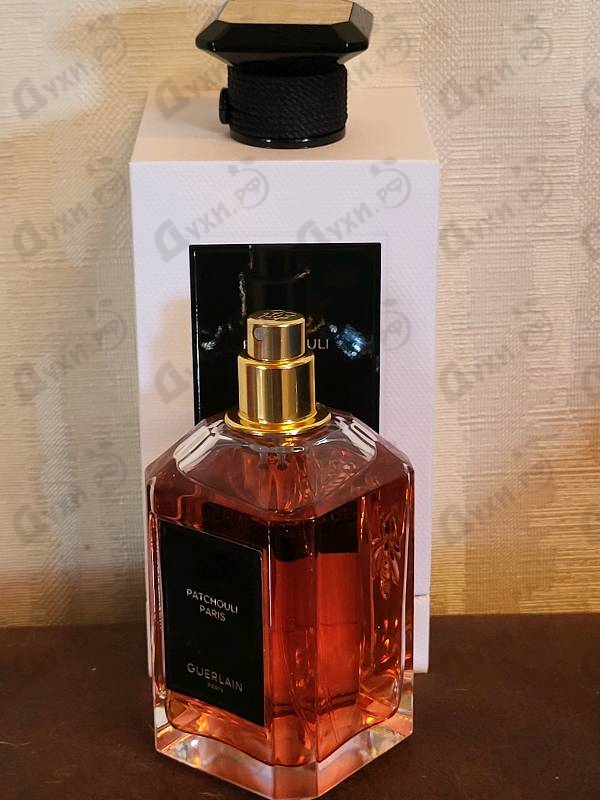 Купить Guerlain Patchouli Paris