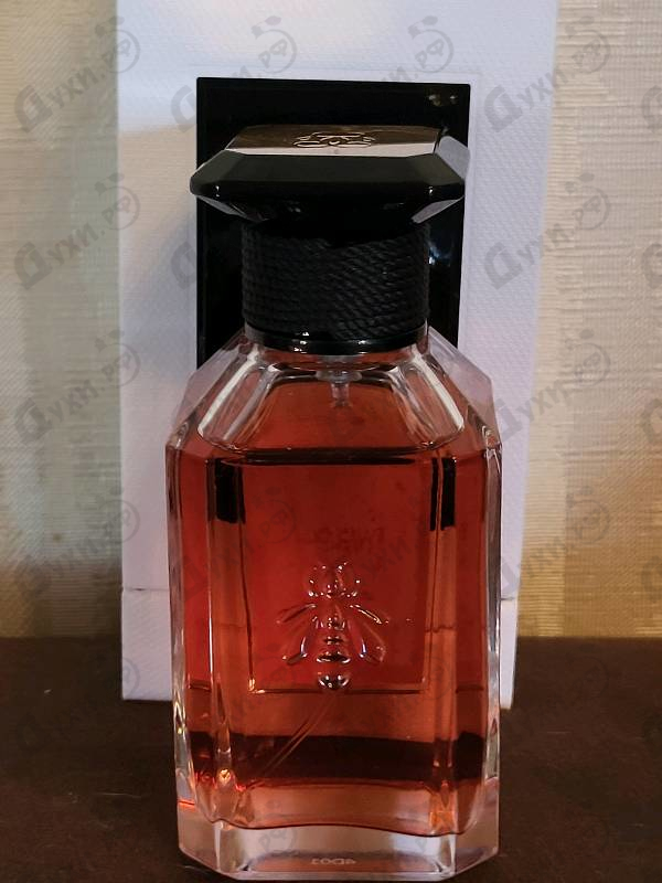 Парфюмерия Patchouli Paris от Guerlain