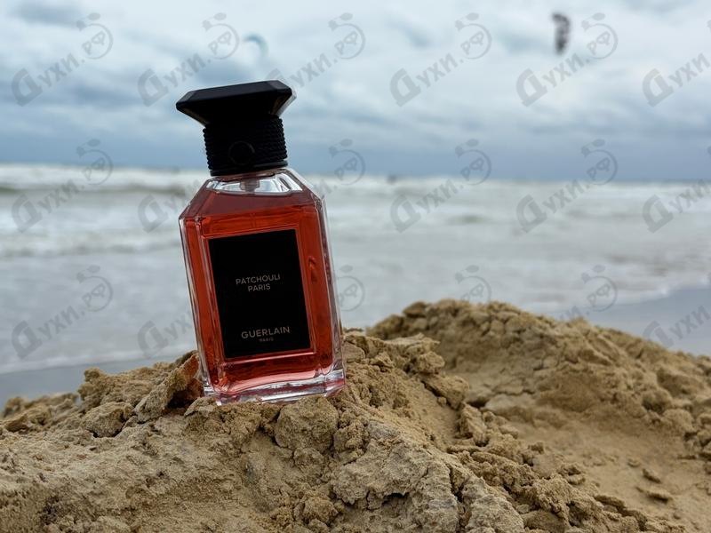 Купить Patchouli Paris от Guerlain