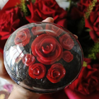 Отзыв Afnan Souvenir Blooming Bliss