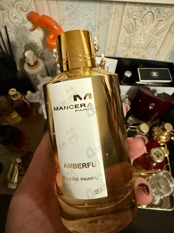 Отзывы Mancera Amberful