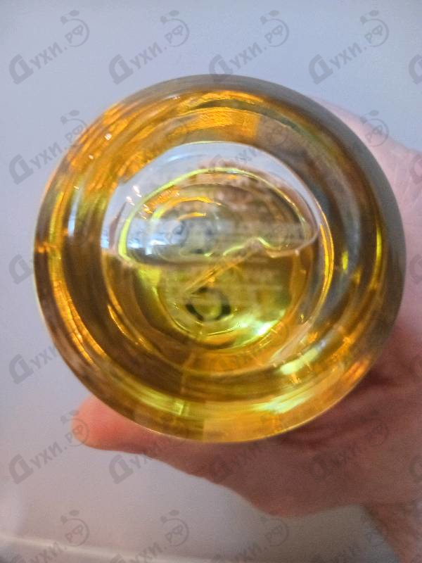 Отзыв Mancera Amberful