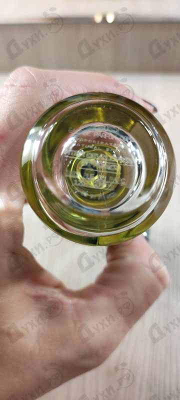 Купить Amberful от Mancera