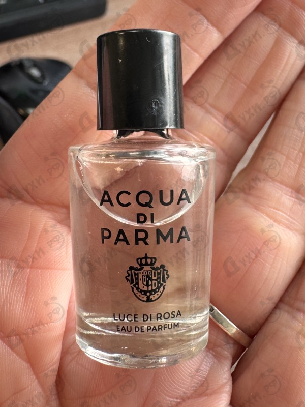 Отзыв Acqua Di Parma Luce Di Rosa