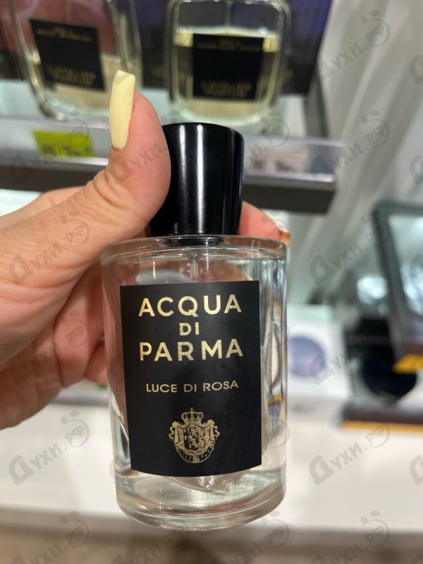 Парфюмерия Acqua Di Parma Luce Di Rosa