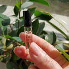 Отзыв Acqua Di Parma Luce Di Rosa