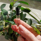 Духи Luce Di Rosa от Acqua Di Parma
