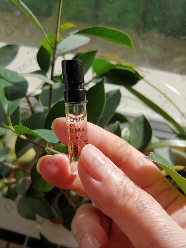 Купить Luce Di Rosa от Acqua Di Parma