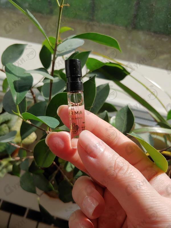 Духи Luce Di Rosa от Acqua Di Parma