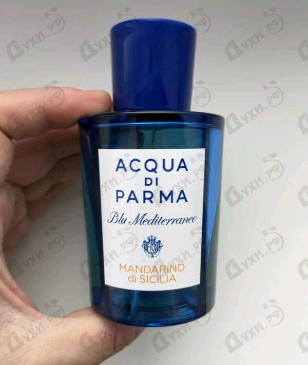 Духи Mandarino Di Sicilia от Acqua Di Parma