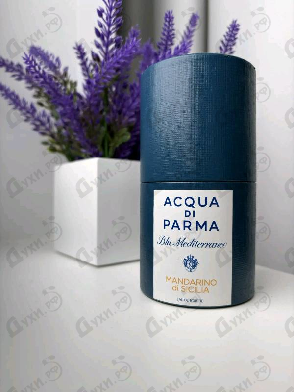 Отзывы Acqua Di Parma Mandarino Di Sicilia