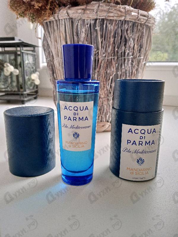 Отзыв Acqua Di Parma Mandarino Di Sicilia