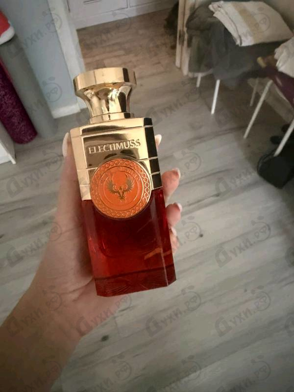 Купить Spice D'Arno от Electimuss