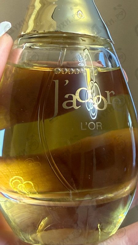 Купить Christian Dior J'Adore L'Or (2023)