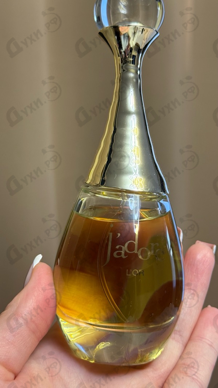 Купить J'Adore L'Or (2023) от Christian Dior