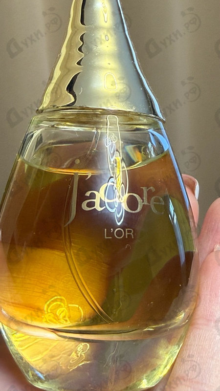 Отзывы Christian Dior J'Adore L'Or (2023)