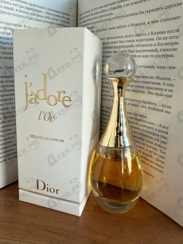 Отзывы Christian Dior J'Adore L'Or (2023)