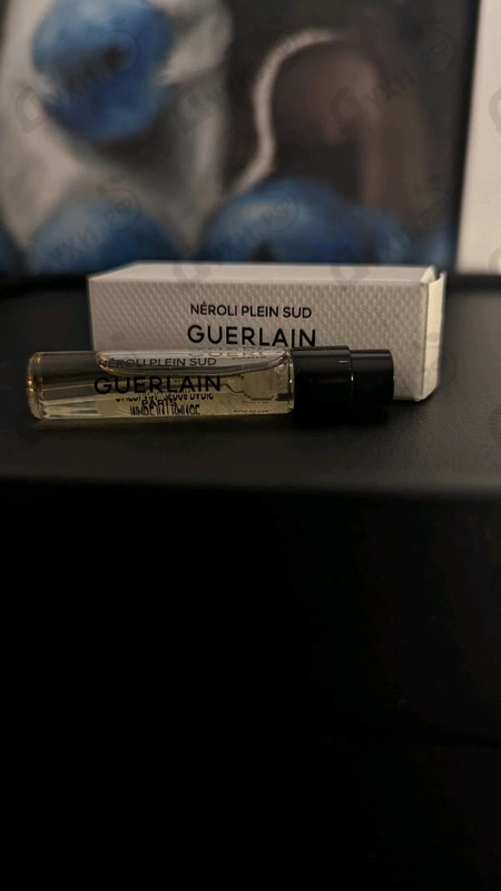 Купить Neroli Plein Sud от Guerlain