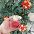 Купить Bright Crystal Parfum от Versace