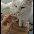 Духи Bright Crystal Parfum от Versace