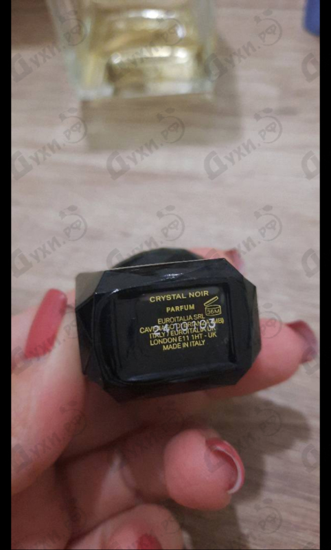 Купить Crystal Noir Parfum от Versace