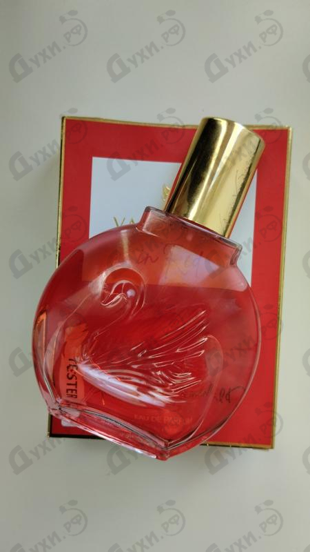 Парфюмерия Gloria Vanderbilt Vanderbilt In Red