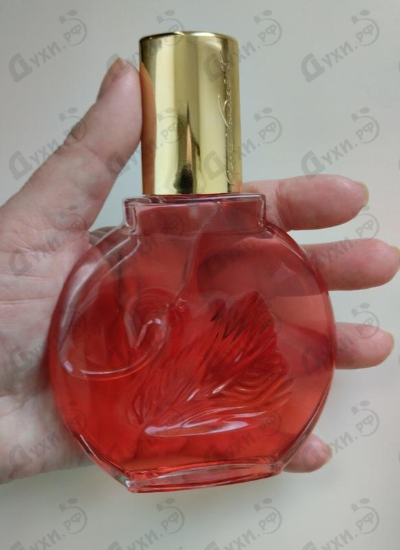 Парфюмерия Gloria Vanderbilt Vanderbilt In Red