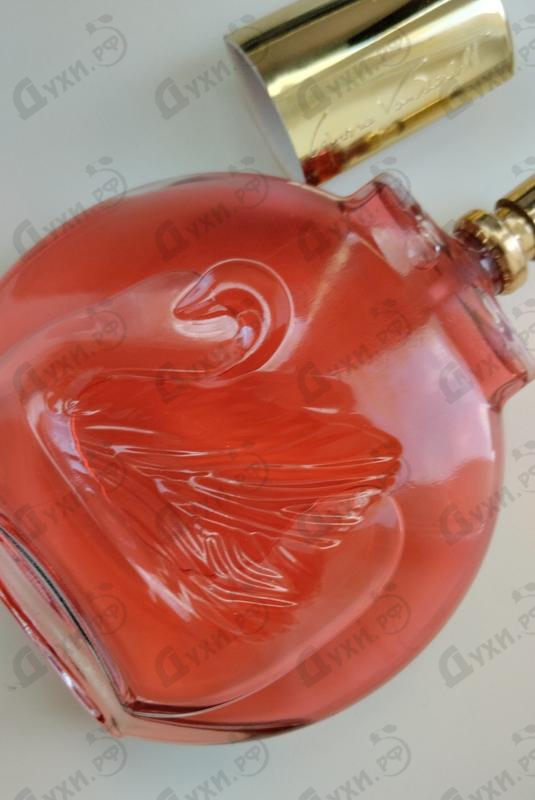 Отзывы Gloria Vanderbilt Vanderbilt In Red