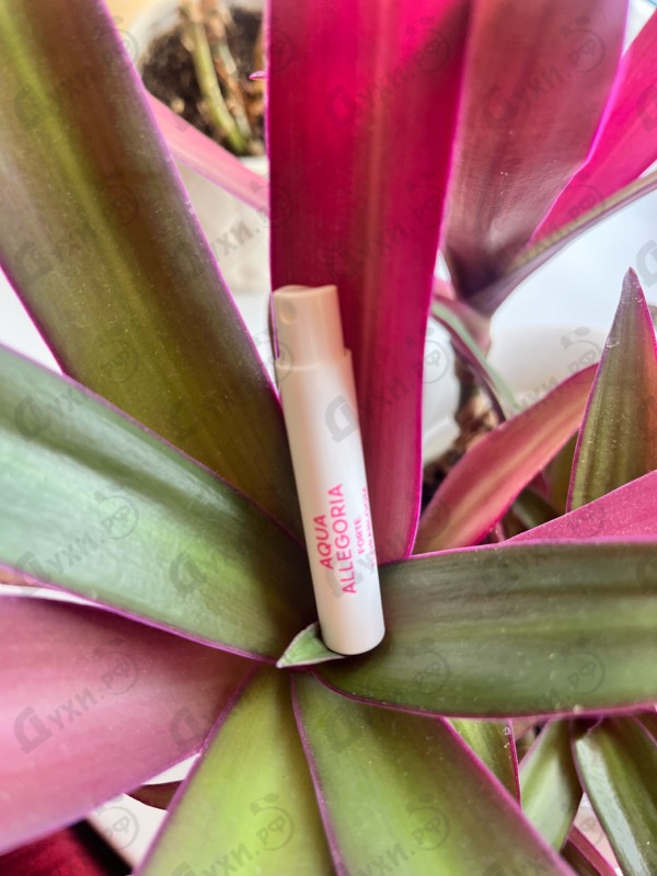 Купить Aqua Allegoria Florabloom Forte от Guerlain