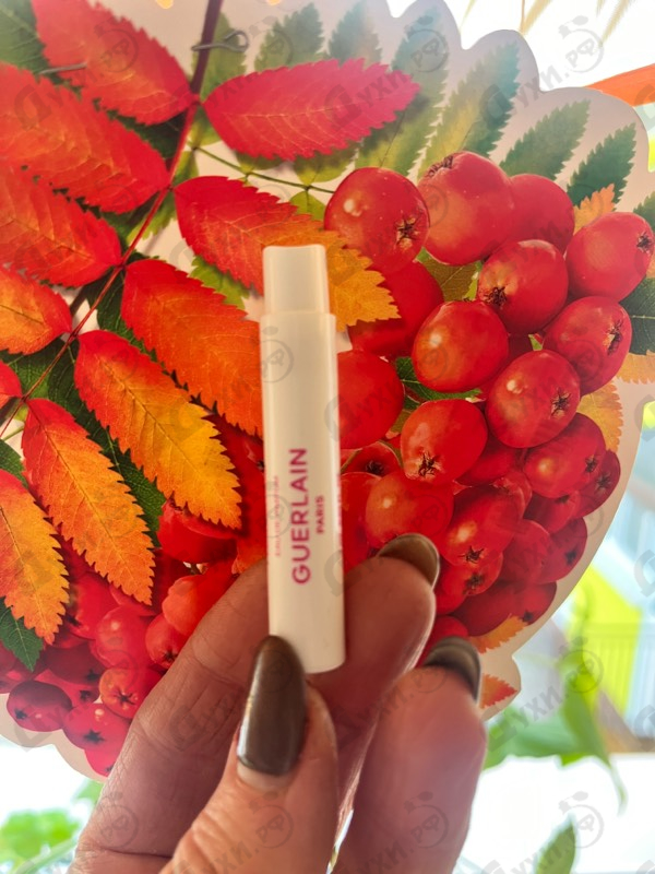 Отзыв Guerlain Aqua Allegoria Florabloom Forte