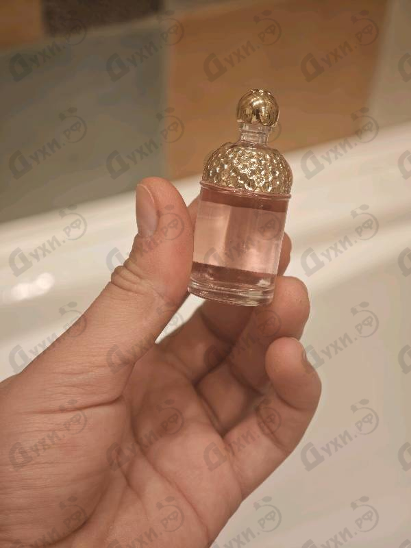 Отзыв Guerlain Aqua Allegoria Florabloom Forte